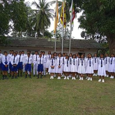 Gallery of our school